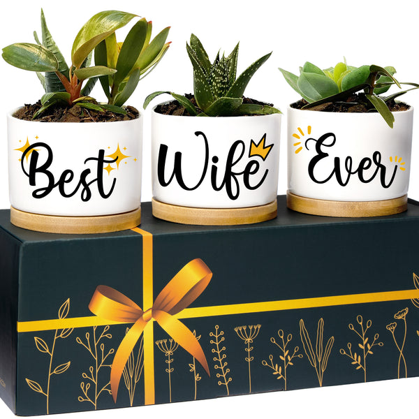 Best Wife Ever Planters