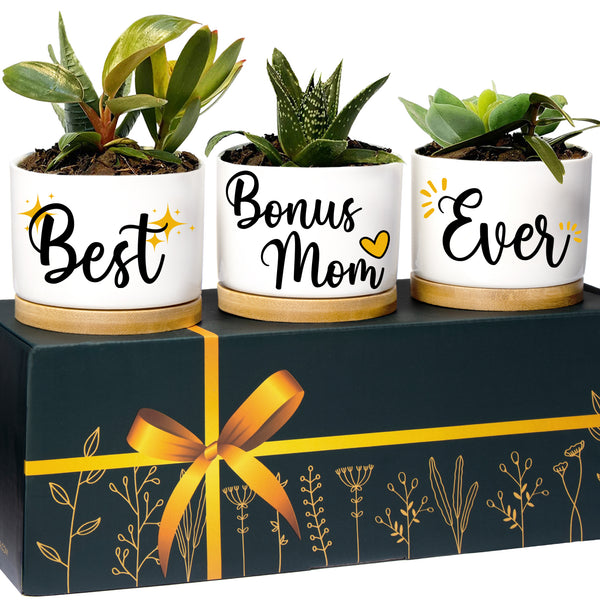 Best Bonus Mom Ever Planters