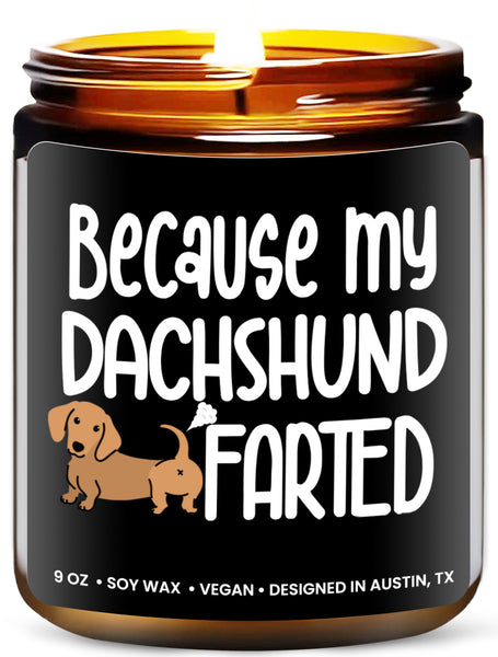 Funny Dachshund Candle - Rosa Vila