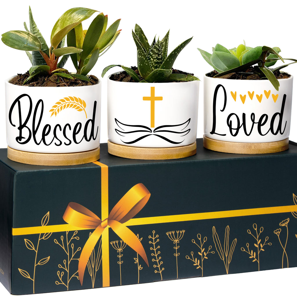 Christian Planters