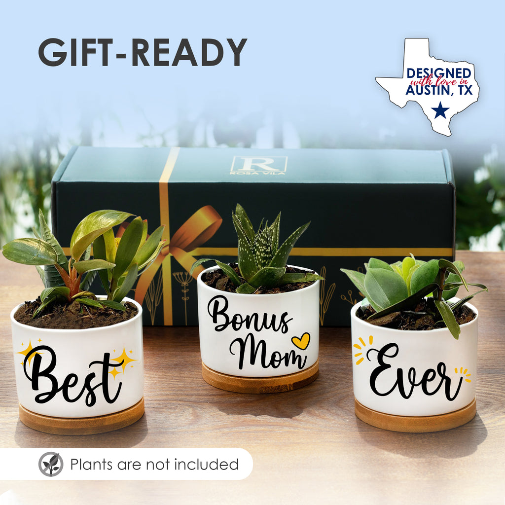 Best Bonus Mom Ever Planters