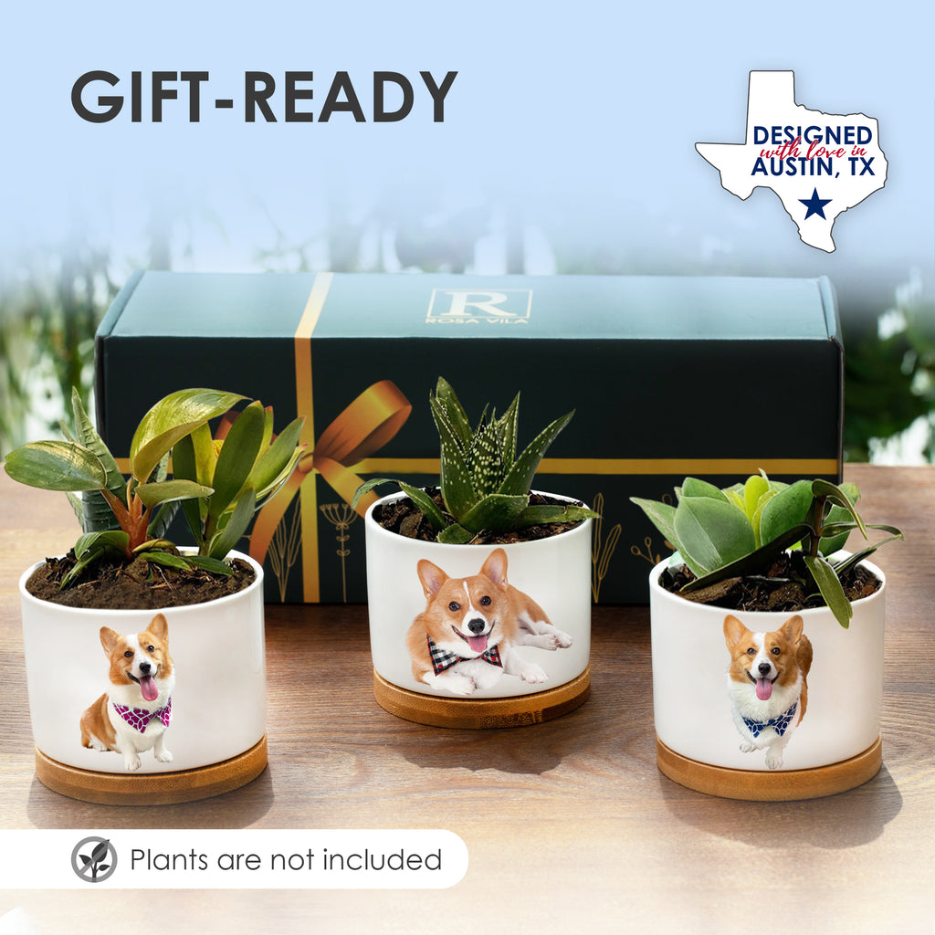 Corgi Planters