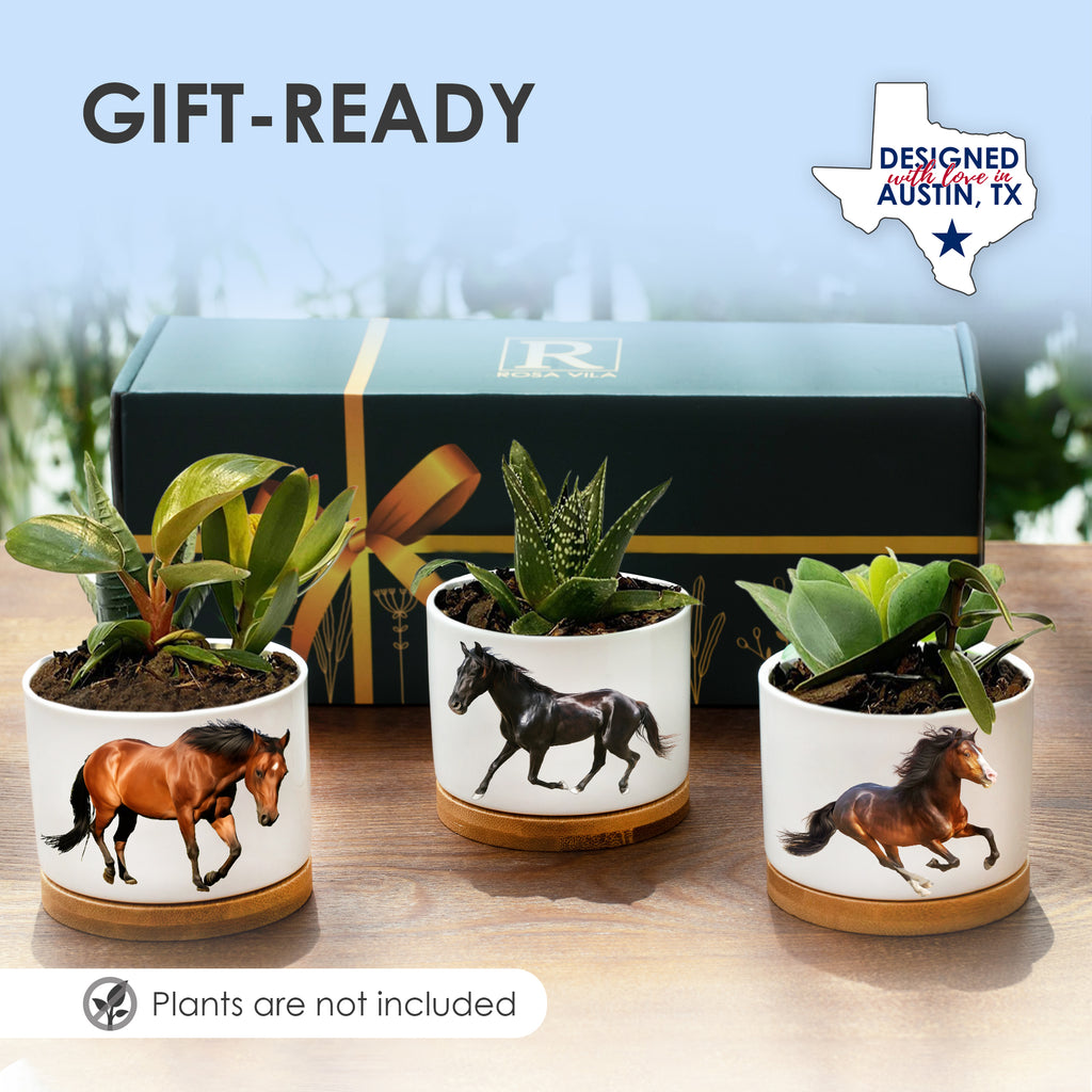 Horse Planters