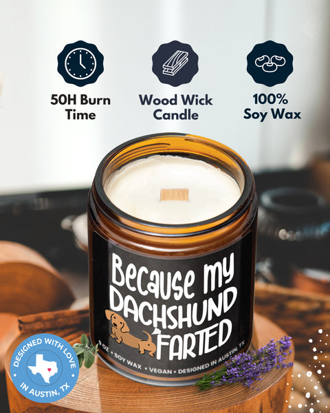 Funny Dachshund Candle - Rosa Vila