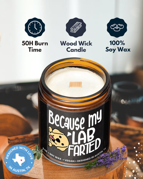 Funny Lab Candle - Rosa Vila