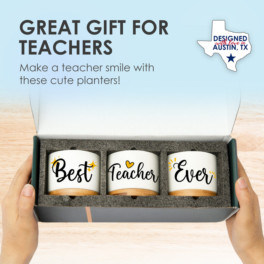 Best Teacher Ever Planters