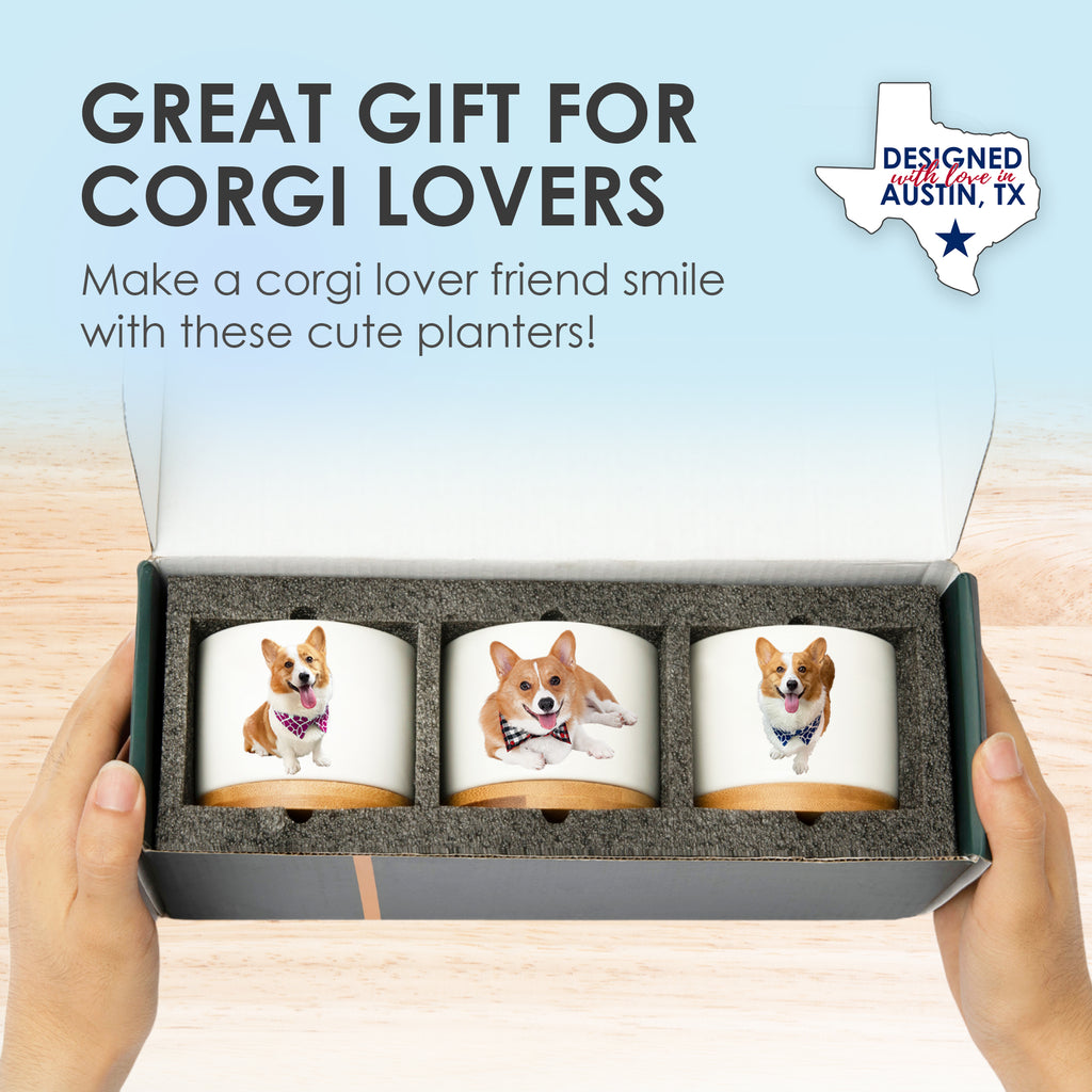 Corgi Planters