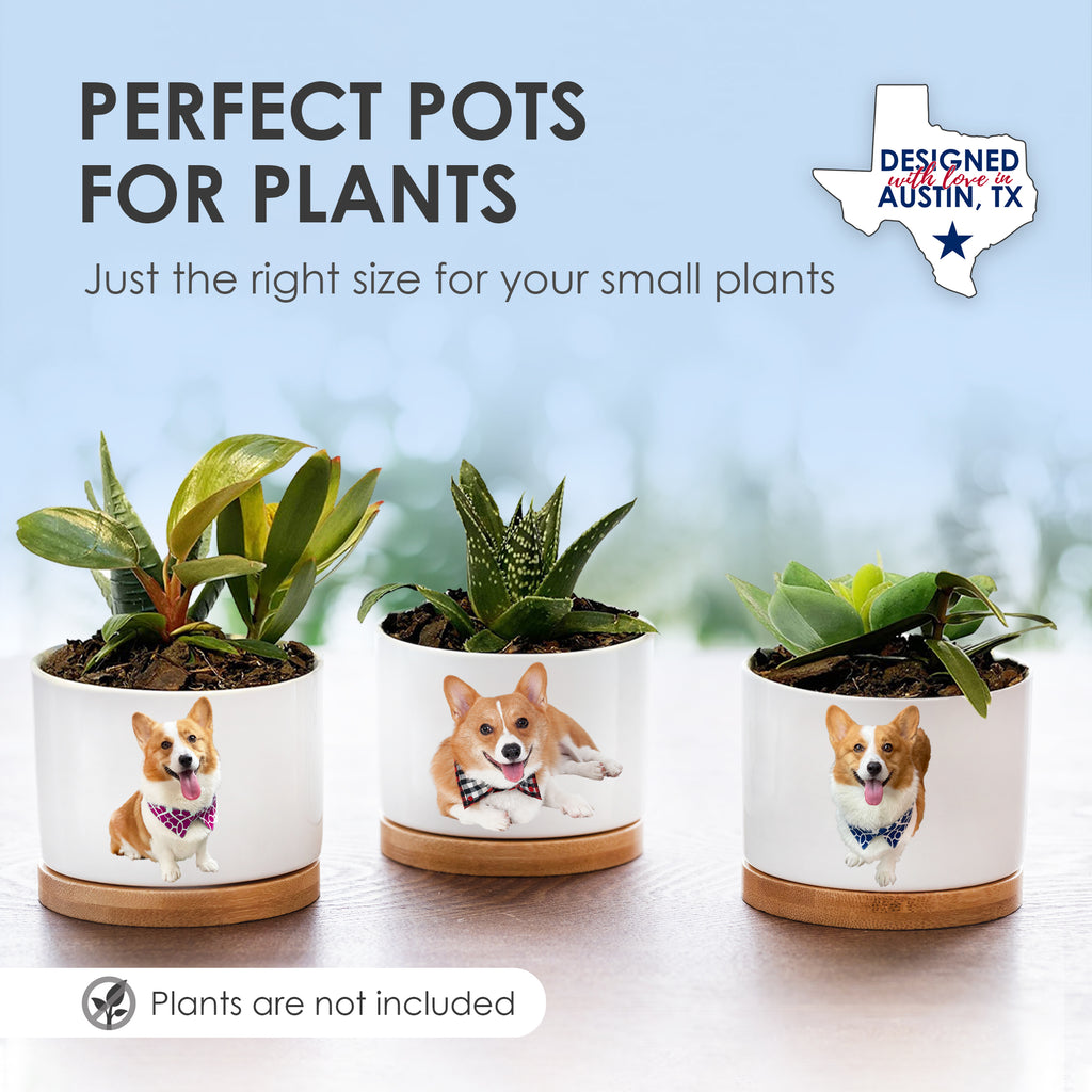 Corgi Planters