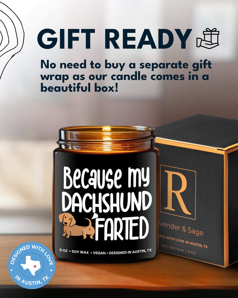 Funny Dachshund Candle - Rosa Vila