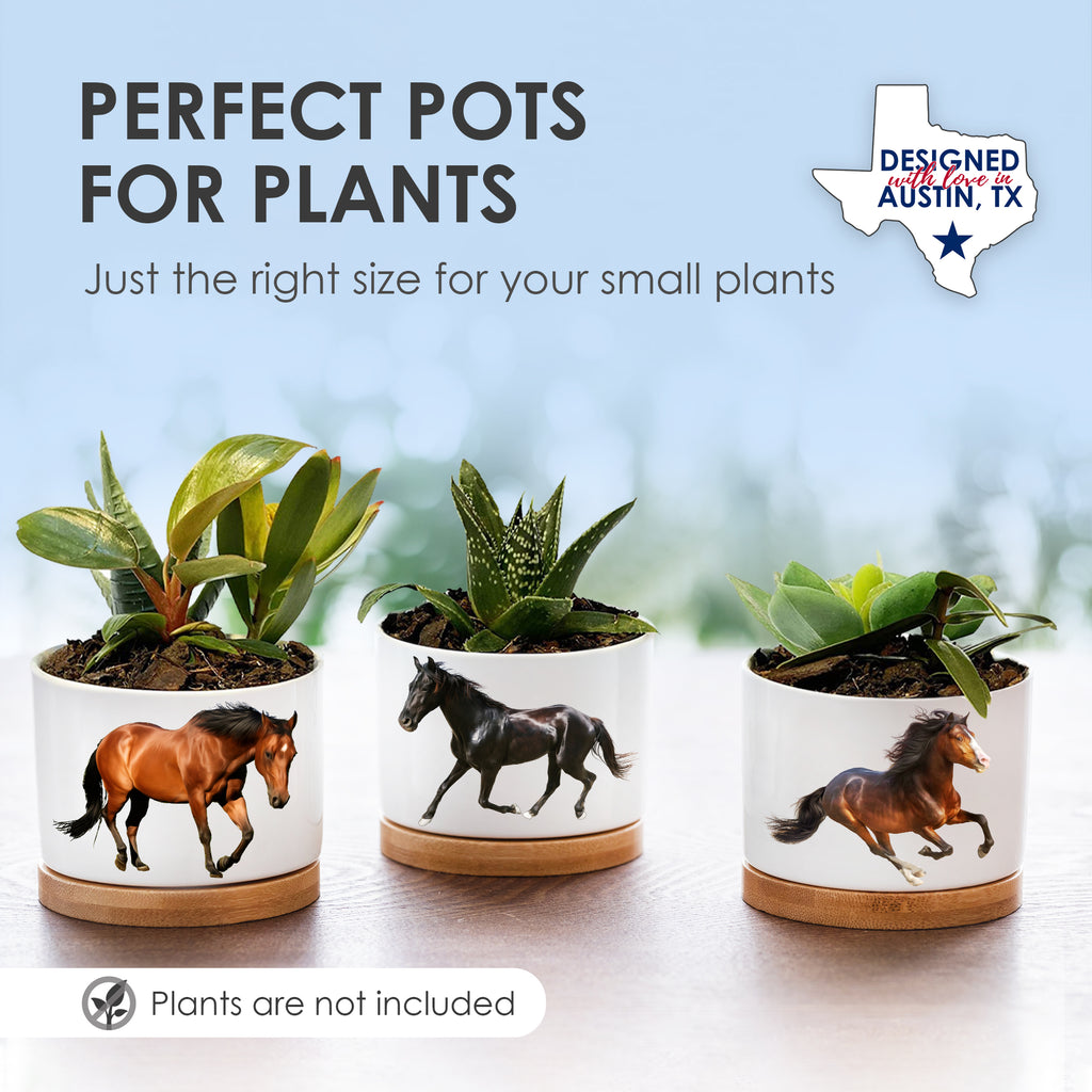 Horse Planters