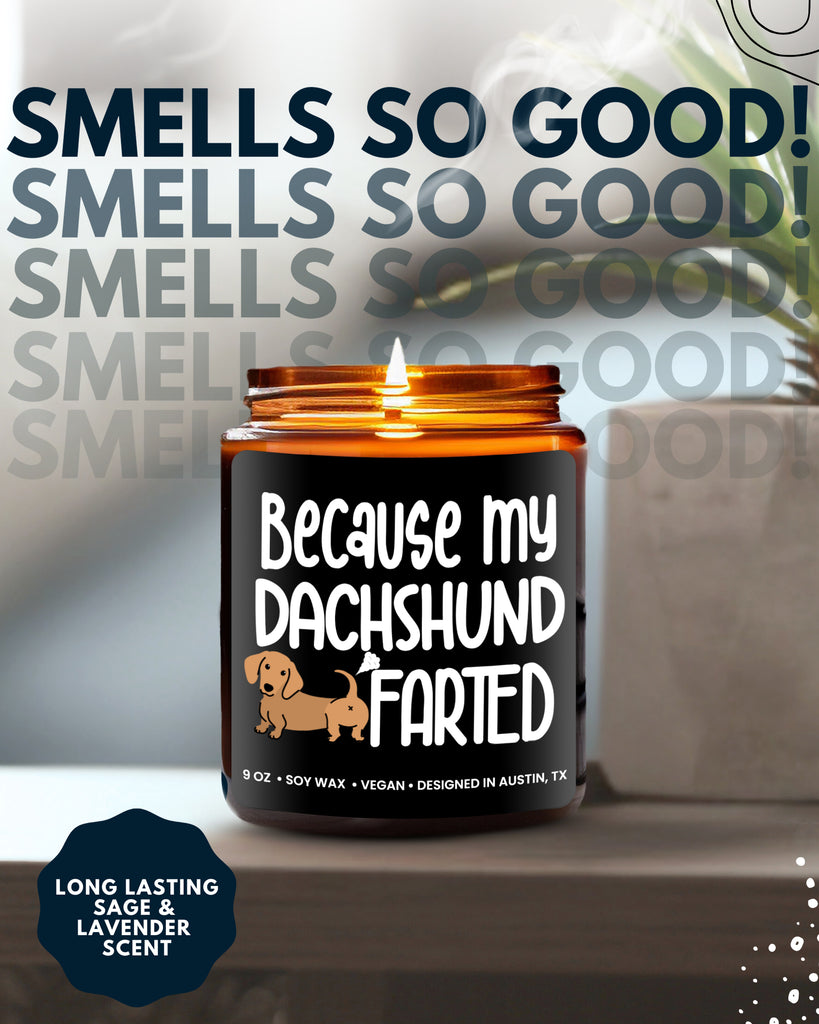 Funny Dachshund Candle - Rosa Vila
