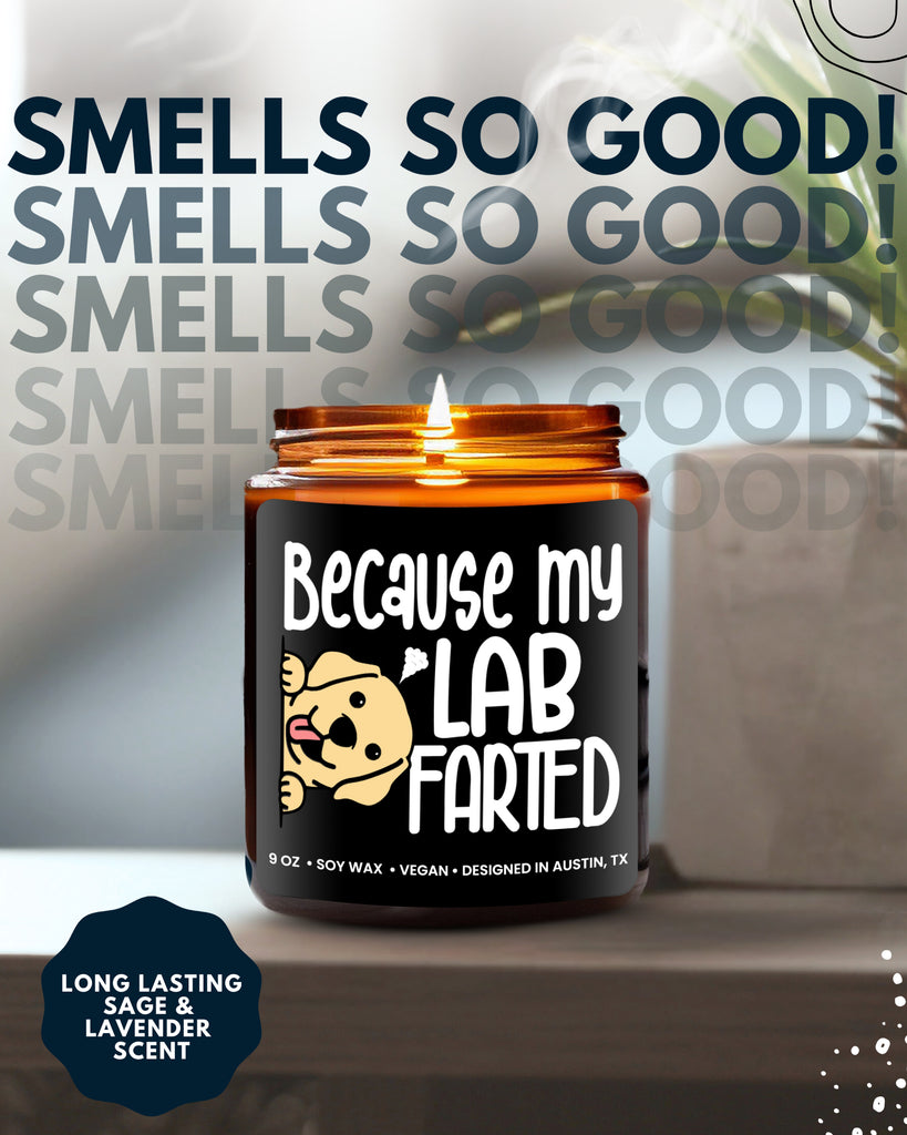 Funny Lab Candle - Rosa Vila