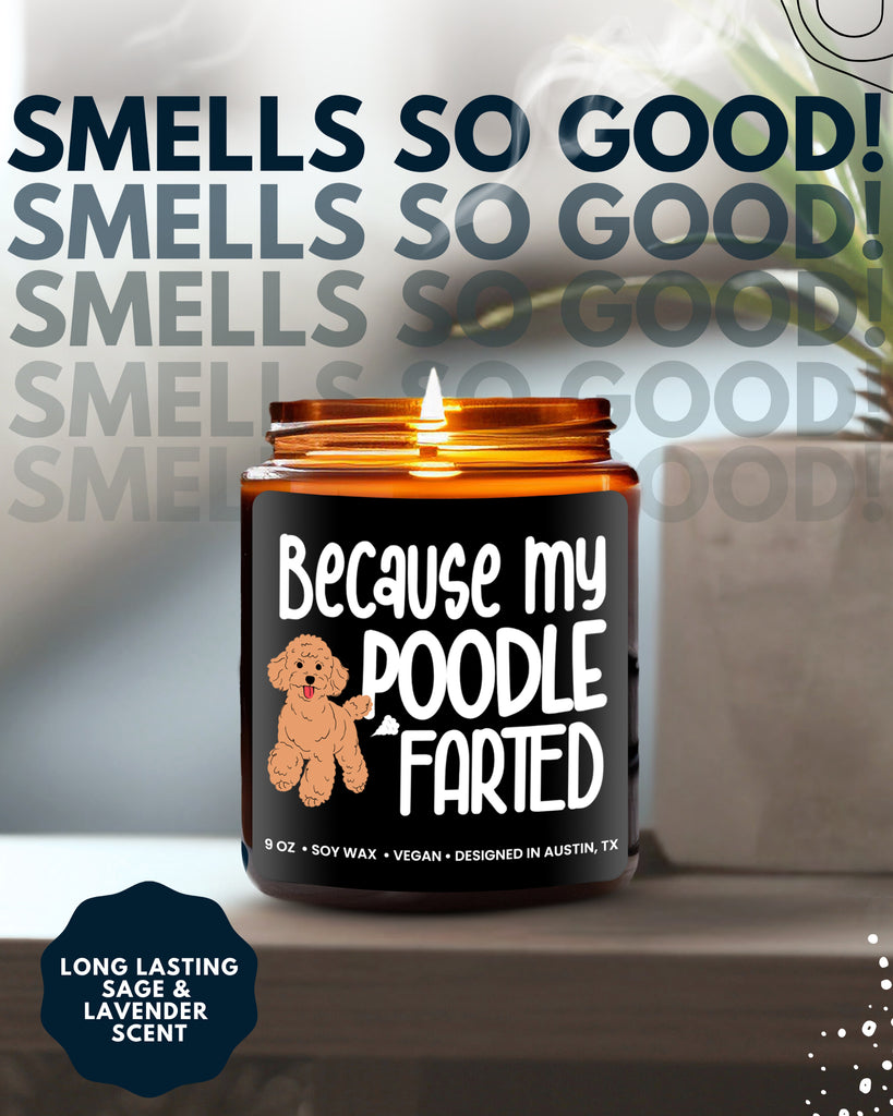 Funny Poodle Candle - Rosa Vila