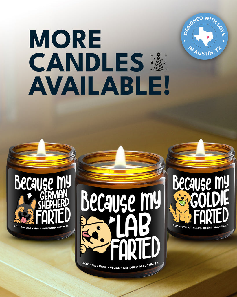 Funny Lab Candle - Rosa Vila