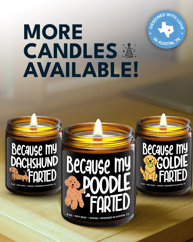 Funny Poodle Candle - Rosa Vila