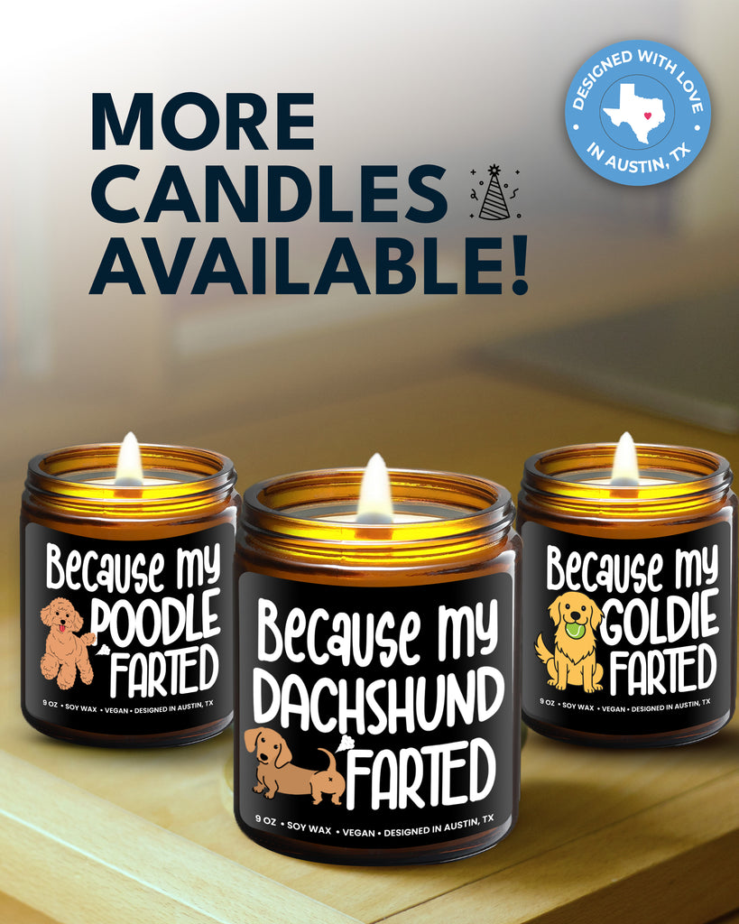 Funny Dachshund Candle - Rosa Vila