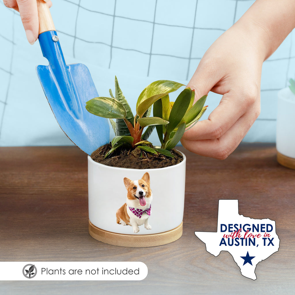 Corgi Planters