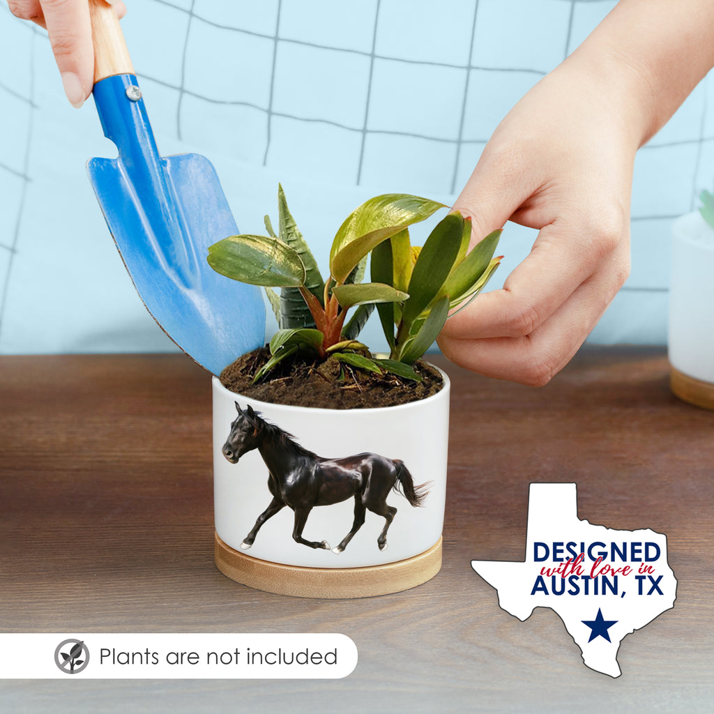 Horse Planters