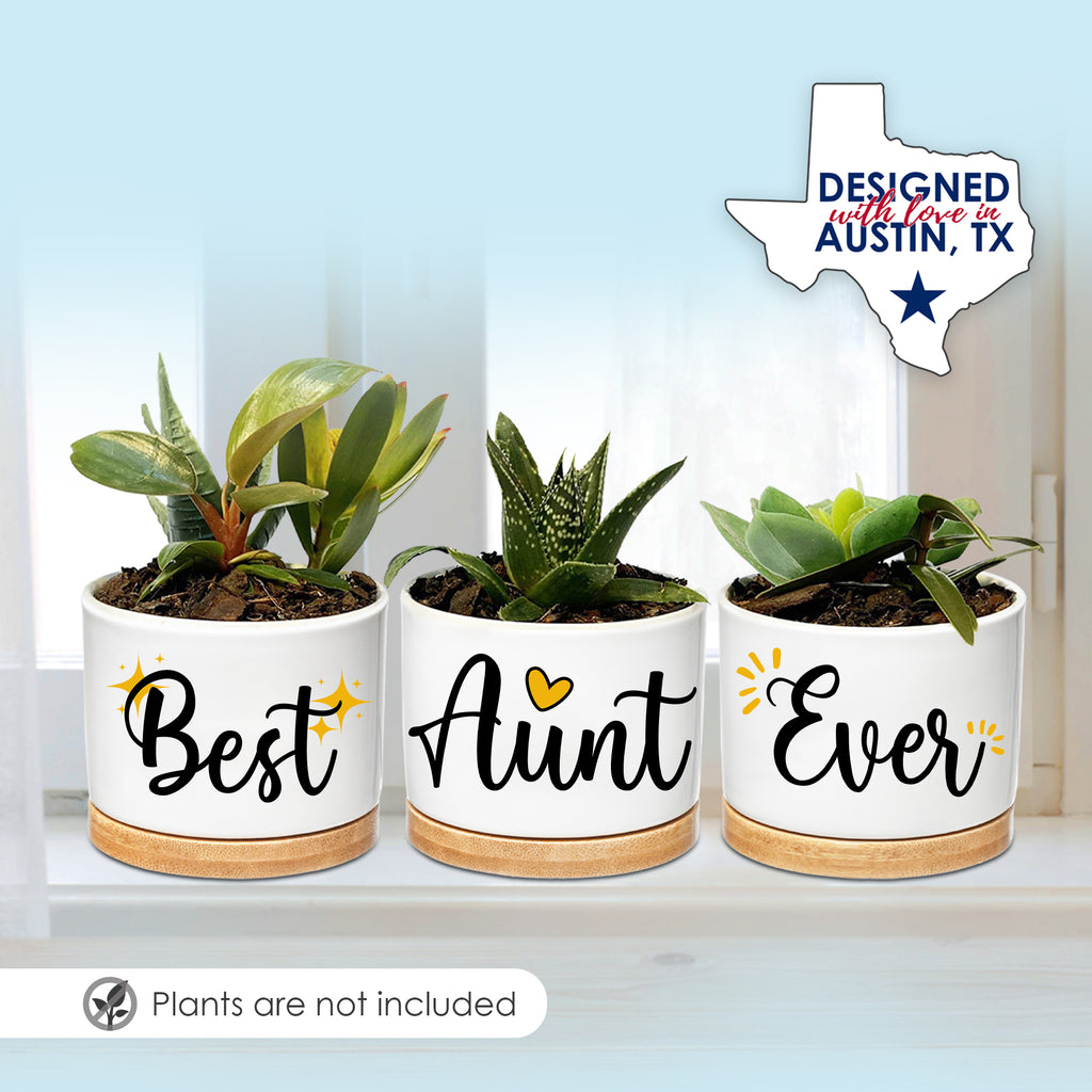 Best Aunt Ever Planters