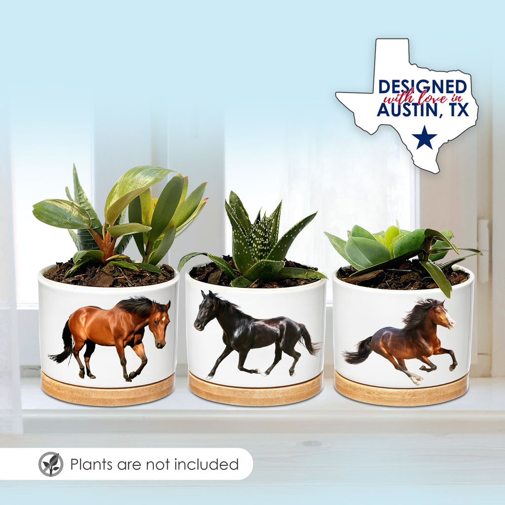 Horse Planters