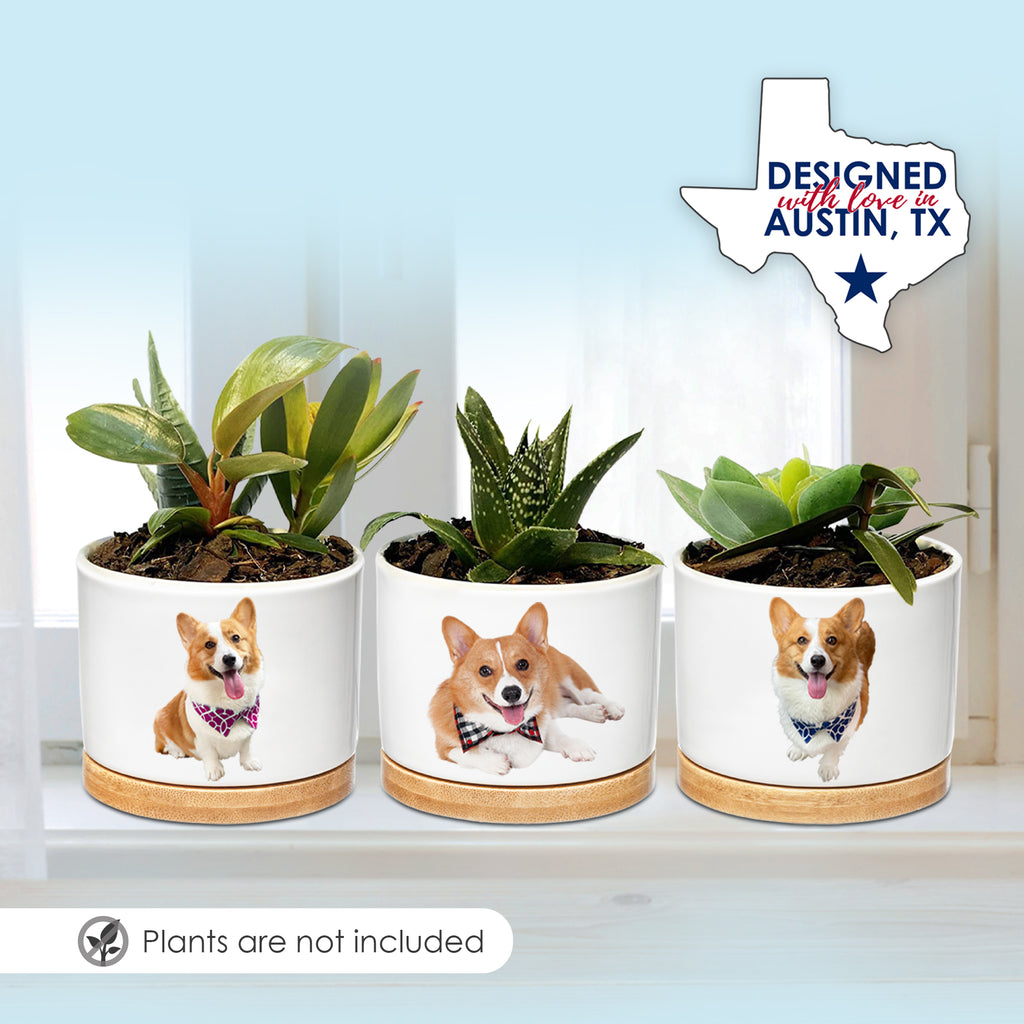 Corgi Planters