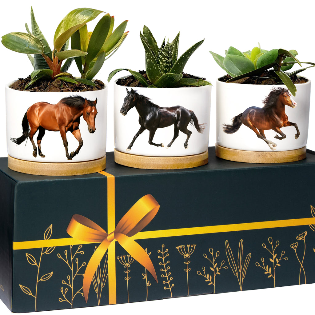 Horse Planters